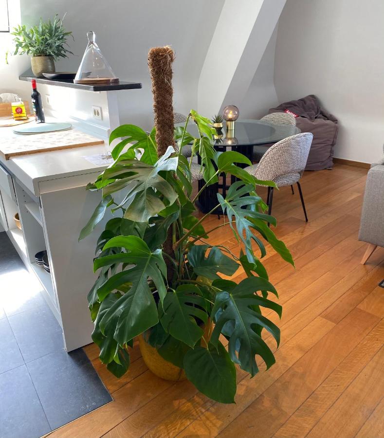 Ferienwohnung Definitief Gesloten Ostende Exterior foto